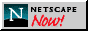 Netscape NOW!