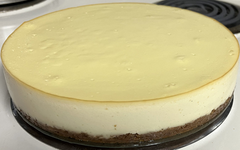 Plain Cheesecake—Prototype 25