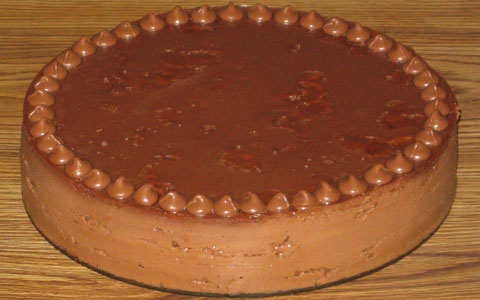 S'mores Cheesecake—Prototype 1 (whole)